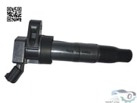 273003F100 كويل سوناتا اصلي