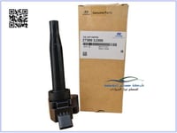 273002J300 كويل النترا 2021 اصلي