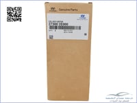 273002E000 كويل النترا اصلي