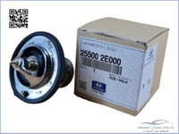 255002E000 بلف حرارة اصلي