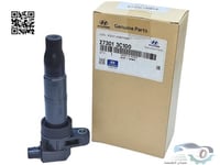 273013C100 كويل سوناتا اصلي