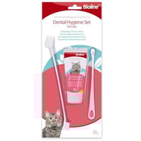 معجون اسنان لقطط مع فرشه