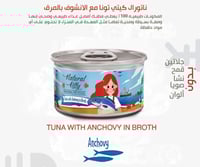 طعام رطب ( ويت فود ) ناتشورال كيتي