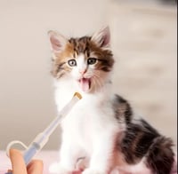 ابرة حبوب ( ملقط )