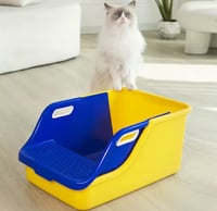 صندوق رمل لقطط حجم كبير مع مصفاه