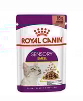 اكل رطب ظروف رويال سنسوري سميل 85 g