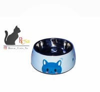 صحون السيراميك المميزة للقطط والكلاب