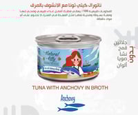 بكج معلبات ناتشورال كيتي 48 حبه