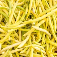 بذور الفاصوليا الفرنسية الصفراء ( Phaseolus vulgar...