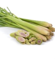 بذور عشبة الليمون العطرية ( Cymbopogon citratus )