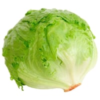 بذور الخس الامريكي ( Crisphead Iceberg Lettuce )