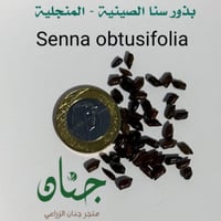 بذور عشبة سنا الصينية - المنجلية ( Senna obtusifol...