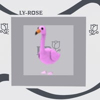 فلامينجو-Flamingo ادوبت مي/adopt me