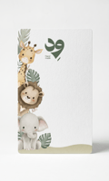 Design A