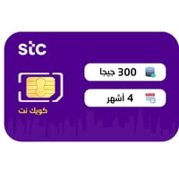 كويك نت 300 جيجا لمدة 4 اشهر