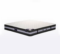 مرتبة New Elite