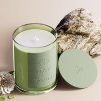 شمعة نيت - داي