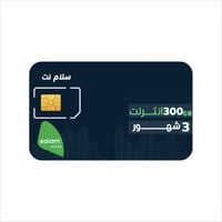 شريحة سلام نت 300 جيجا لمدة 3 أشهر