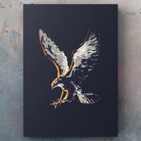 إطار مخفي (بدون إطار)