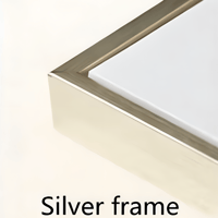 إطار فضي - Silver frame
