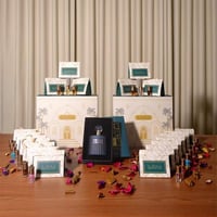 عرض اليوم الوطني 95