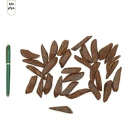 خشب موروكي محسن فاخر بيور