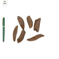 خشب موروكي محسن فاخر بيور