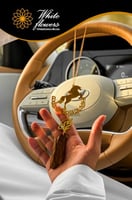 تعليقة الخيل و كسرة العود كتابة حسب طلبك