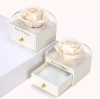 بوكس نجم البحر ( البوكس موف )