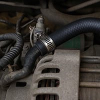 قفيز لي تايواني