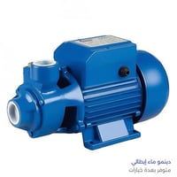 دينمو ماء إيطالي