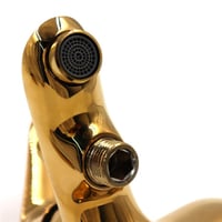 خلاط دش ذهبي مع سماعة ولي 5707 | ستامينا LIMA