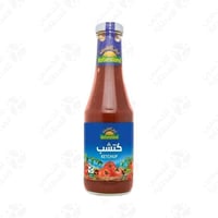 كاتشب عضوي ارض الطبيعة 500 مل
