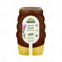 عسل الغابة ارض الطبيعة (نيء) 360 جرام