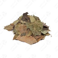 ورق لبلاب 80 جرام