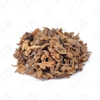 ثعلب بنجة 50 جرام