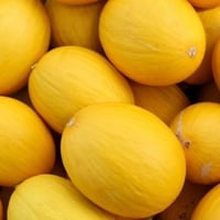 بذور شمام الكناري