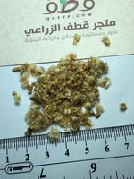 جملة بذور شجيرة الرمث بالوزن