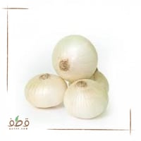 بذور البصل الأبيض F1