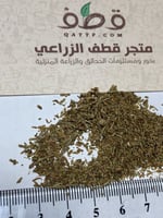 بذور الشيح العطري