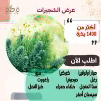 عرض مجموعة من بذور الشجيرات