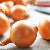 بذور بصل أصفر هجين F1