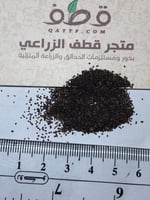 جملة 10000 بذرة من زهرة الديدحان الاحمر شقائق النع...