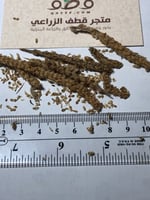 بذور عشبة الربلة الرعوية