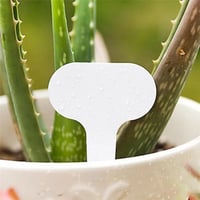 5 قطع علامة بلاستيك ( تاق ) لكتابة أسماء النبات