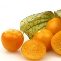 بذور فاكهة الحرنكش التوت الذهبي