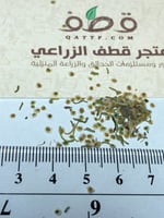 جملة 3000 بذرة من عشبة القليقلان البري