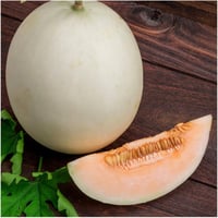 بذور شمام العسلي عضوي