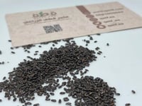 جملة 1000 بذرة من نبات اللافندر العطري