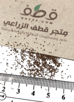 بذور الارقة أو الجريد أو الارجة او الاجرد المغذي ل...